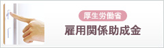 雇用関係助成金